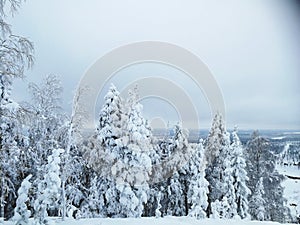 Swedish Lapland In Winter