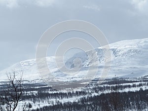 Swedish mountain
