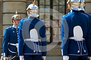 Swedish Royal Guard