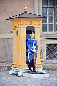 Swedish Royal Guard