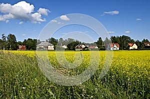 Swedish Rural Landscape