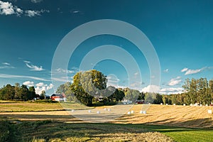 Swedish Rural Landscape Field Meadow With Dry Hay Bales During Harvest In Sunny Evening. Farmland With Red Farm Barn