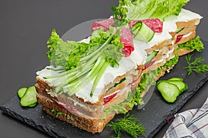 Swedish sandwich cake Smorgastarta. Traditional served cold snack, ready to eat