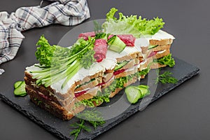 Swedish sandwich cake Smorgastarta. Traditional served cold snack, ready to eat