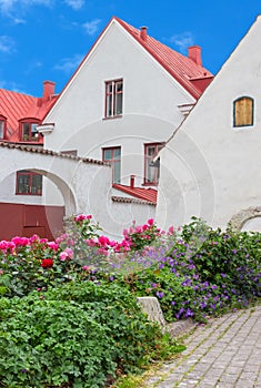 Swedish town Visby photo