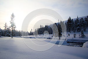 Swedish winterland