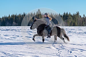 Swedish woman riding her Icelandic horse in deep snow