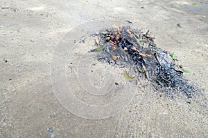 Sweep leaves and burn leaves stack