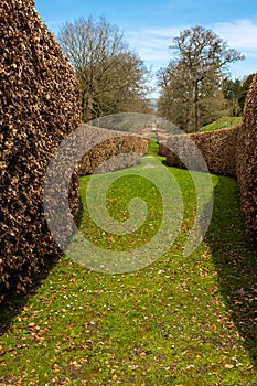 A sweeping brown hedge cuts through the green garden in Derbyshire, England