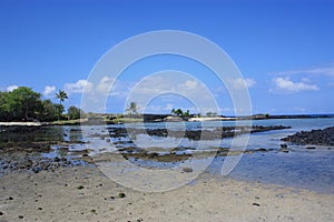 Tide pools, sandy shoreline, palm trees and volcanic rock at low tide at Kaloko-Honokohau National Historical Park in Hawaii photo