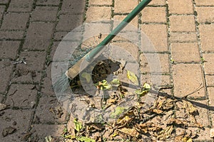 Sweeping leaves a broom