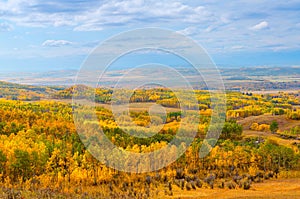 Sweeping Panorama of Beautiful Alberta, Canada, Prairie Landscape in Autumn Colors