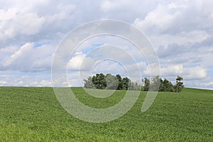 Sweeping Vistas in summer