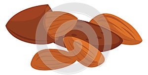 Sweet almonds, illustration, vector