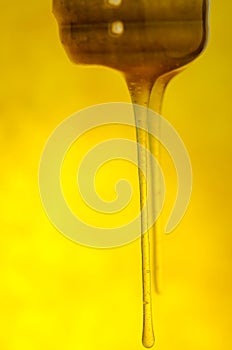 Sweet amber flower honey  flows.  Liquid  stream of honey