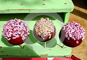 Sweet apples with candy and nuts