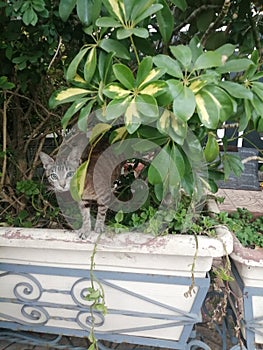 Sweet babe looking behind the plants