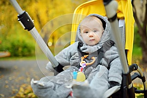 Sweet baby boy wearing warm clothes sitting in a stroller outdoors. Little child in pram. Infant kid in pushchair. Autumn walks