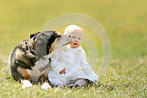 Sweet Baby Girl Getting Kiss from Pet German Shepherd Dog Outside