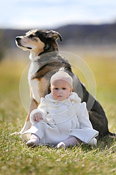 Sweet Baby Girl Getting Kiss from Pet German Shepherd Dog Outside