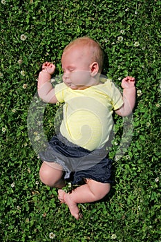 Sweet Baby Sleeping Outside in Clover Field