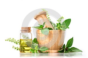 Sweet basil and hot basil in wooden mortar with essential oil ,