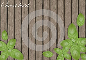 Sweet basil leaves on wooden cutting board. Mint leaf. Banner de