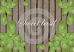 Sweet basil leaves on wooden cutting board. Mint leaf. Banner de