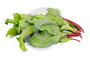 Sweet beet leafs(mangold)