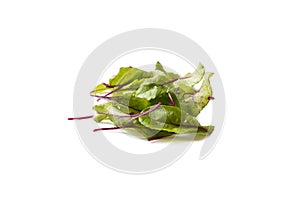 Sweet beet leafsmangold isolated on white background. Top view. Leaves of baby chard on white. Sweet beet leafs with copy space