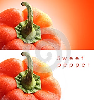 Sweet bell pepper, isolated