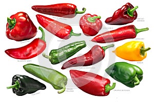 Sweet bell peppers collection, paths