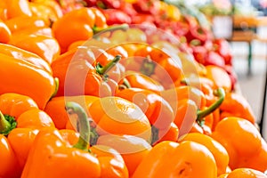 Sweet bell peppers orange bell peppers, being  sold in a farmer`s  market. Fresh, bright and shiny