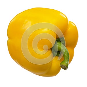 Sweet bell yellow paprica photo