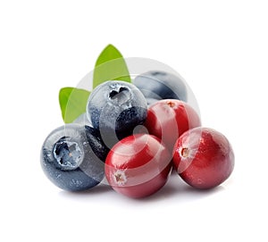 Sweet berry of cranberries and blueberries