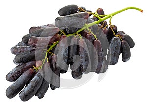 Sweet black sapphire grapes isolated on a white background