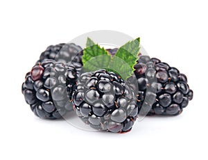 Sweet blackberry fruit