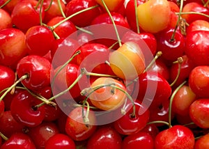 Sweet cherries close up.