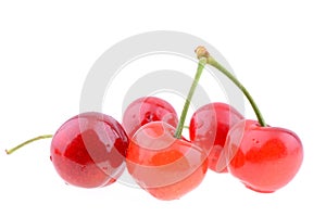 Sweet cherries isolated on a white