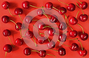 sweet cherries layed out as pattern on red background,flat lay