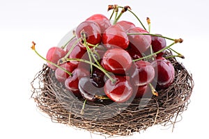 Sweet cherries in a nest