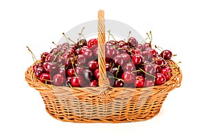 Sweet cherries (Prunus avium) in wicker basket