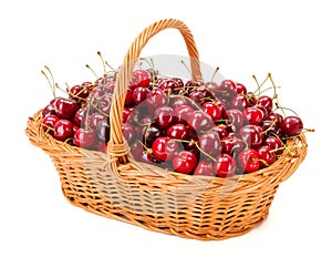 Sweet cherries (Prunus avium) in wicker basket