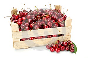 Sweet cherries (Prunus avium) in wooden crate