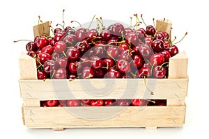 Sweet cherries (Prunus avium) in wooden crate