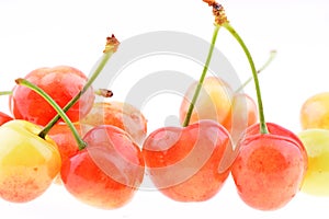 Sweet cherries on a white background