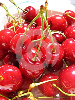 Sweet cherry