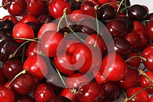 Sweet cherry