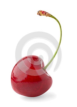 Isolated cherry