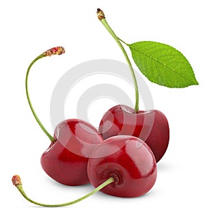 Sweet cherry